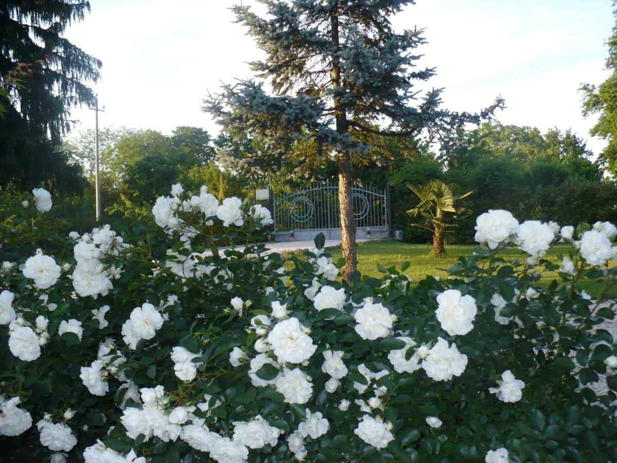 L'Albero Della Gioia Bed and Breakfast Villanova sull'Arda Zewnętrze zdjęcie
